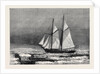 The Dutch Arctic Expedition: The Schooner Willem Barents Sighting Franz Joseph Land Sept. 7 1879 by Anonymous