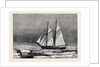 The Dutch Arctic Expedition: The Schooner Willem Barents Sighting Franz Joseph Land Sept. 7 1879 by Anonymous