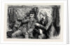 Mr. Vellumsom However Chanced to Meet the Duke Travelling Up to Town in a Railway Carriage by Anonymous