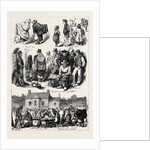 The State of Ireland: Sketches in Galway 1880 by Anonymous