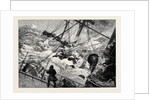 The Orient Line Steamer Chimborazo in a Gale 1880 by Anonymous