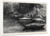 Fishing on the Ristigouche in Canada: In the Exhibition of the Society of Painters in Water Colours 1880 by Anonymous