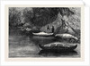 Fishing on the Ristigouche in Canada: In the Exhibition of the Society of Painters in Water Colours 1880 by Anonymous