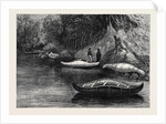 Fishing on the Ristigouche in Canada: In the Exhibition of the Society of Painters in Water Colours 1880 by Anonymous