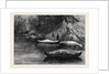 Fishing on the Ristigouche in Canada: In the Exhibition of the Society of Painters in Water Colours 1880 by Anonymous