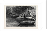 Fishing on the Ristigouche in Canada: In the Exhibition of the Society of Painters in Water Colours 1880 by Anonymous
