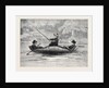 Fishing on the Ristigouche in Canada: In the Exhibition of the Society of Painters in Water Colours 1880 by Anonymous