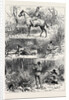 Hunting Sketches Among the Indians of Minnesota 1880 by Anonymous