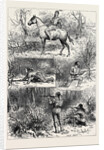 Hunting Sketches Among the Indians of Minnesota 1880 by Anonymous