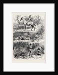 Hunting Sketches Among the Indians of Minnesota 1880 by Anonymous