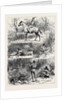 Hunting Sketches Among the Indians of Minnesota 1880 by Anonymous
