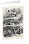 Hunting Sketches Among the Indians of Minnesota 1880 by Anonymous
