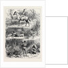Hunting Sketches Among the Indians of Minnesota 1880 by Anonymous