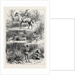 Hunting Sketches Among the Indians of Minnesota 1880 by Anonymous