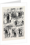 Election Sketches 1880 by Anonymous
