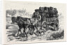 Polish Jews Driving to Market: on the Polish Russian Frontier 1880 by Anonymous
