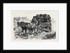 Polish Jews Driving to Market: on the Polish Russian Frontier 1880 by Anonymous