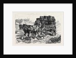 Polish Jews Driving to Market: on the Polish Russian Frontier 1880 by Anonymous