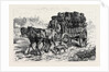 Polish Jews Driving to Market: on the Polish Russian Frontier 1880 by Anonymous