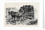 Polish Jews Driving to Market: on the Polish Russian Frontier 1880 by Anonymous