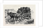 Polish Jews Driving to Market: on the Polish Russian Frontier 1880 by Anonymous