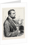 Election Sketches: The Man of the People 1880 by Anonymous