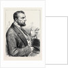 Election Sketches: The Man of the People 1880 by Anonymous