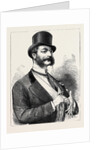 Election Sketches: The Ladies' Favourite 1880 by Anonymous