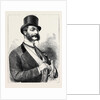 Election Sketches: The Ladies' Favourite 1880 by Anonymous