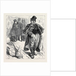 Election Sketches: The Irish Vote 1880 by Anonymous