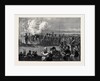 The Easter Volunteer Review: The First Gun 1880 by Anonymous