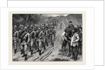 The Brighton Review: The Artists' Corps Marching to Brighton 1880 by Anonymous