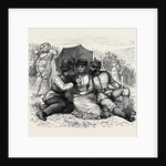 At the Brighton Theatre of War: All in the Downs. 1880 by Anonymous