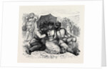 At the Brighton Theatre of War: All in the Downs. 1880 by Anonymous