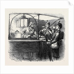 At the Brighton Theatre of War: Coffee for Two. 1880 by Anonymous