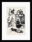 Sketches in Russia 1880 by Anonymous