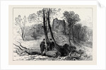 Ruins of the Old Castle Hawarden 1880 by Anonymous