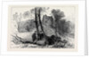 Ruins of the Old Castle Hawarden 1880 by Anonymous