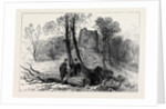 Ruins of the Old Castle Hawarden 1880 by Anonymous