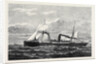 The Union Company's New Steamship Trojan for the Cape Mail Line 1880 by Anonymous