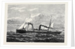 The Union Company's New Steamship Trojan for the Cape Mail Line 1880 by Anonymous