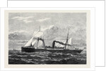 The Union Company's New Steamship Trojan for the Cape Mail Line 1880 by Anonymous