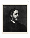 Earl Cowper K.G. The New Lord Lieutenant of Ireland 1880 by Anonymous