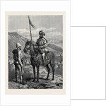 Our Troops in Afghanistan: A Sowar of the 10th Bengal Lancers and a Private of the 9th Foot 1880 by Anonymous