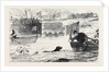 Swimming Match Between a Dog and a Man 1880 by Anonymous