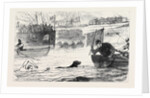 Swimming Match Between a Dog and a Man 1880 by Anonymous