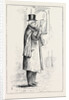 Parliamentary Sketches: In the Lobby: A Newly Created Senator 1880 by Anonymous