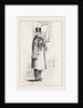 Parliamentary Sketches: In the Lobby: A Newly Created Senator 1880 by Anonymous