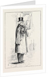 Parliamentary Sketches: In the Lobby: A Newly Created Senator 1880 by Anonymous