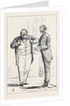 Parliamentary Sketches: In the Lobby: A Pair of Privy Councillors 1880 by Anonymous